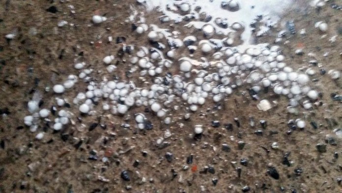 chuva granizo sorro 1 Chuva supera 25 milímetros em São Carlos e Defesa Civil confirma queda de granizo em bairros da cidade