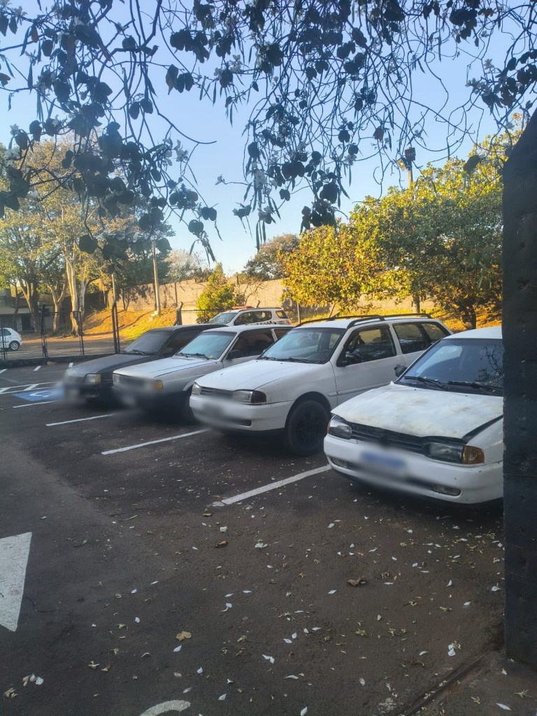 Força Tática localizou em desmanche quatro veículos furtados, drogas e materiais ligados ao tráfico durante ação no Antenor Garcia