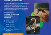 São Carlos Experience terá ações contra dengue, escorpiões e palestra sobre Wolbachia São Carlos Experience terá palestra sobre Wolbachia e atividades de prevenção à dengue e acidentes com escorpiões nos dias 27 e 28 de agosto