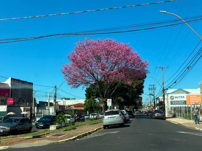 A Vila Prado é um dos bairros mais tradicionais e conhecidos de São Carlos. Sua história está diretamente ligada ao desenvolvimento da ferrovia, à expansão urbana da cidade e à formação de uma comunidade marcada pelo trabalho e pelo espírito de vizinhança. A Vila Prado é um dos bairros mais tradicionais e conhecidos de São Carlos. Sua história está diretamente ligada ao desenvolvimento da ferrovia, à expansão urbana da cidade e à formação de uma comunidade marcada pelo trabalho e pelo espírito de vizinhança.