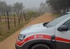 Homem é encontrado morto com marcas de tiros em estrada rural de São Carlos Homem é encontrado morto com marcas de tiros em estrada rural de São Carlos
