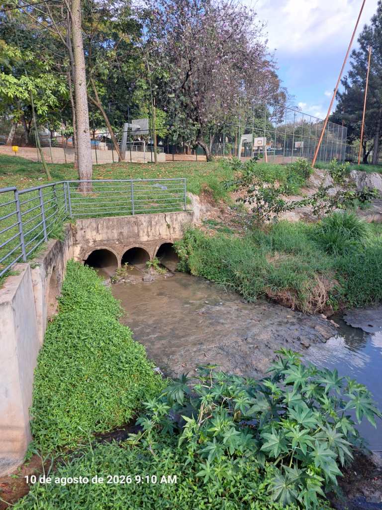 SAAE confirmou presença de esgoto em galeria de águas pluviais no Parque do Bicão, em São Carlos, e realiza vistorias para identificar a origem