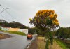 Chuva volta a São Carlos e tempo passa por reviravolta; confira a previsão São Carlos registra chuva fraca nesta quarta-feira (26), com melhora significativa da umidade do ar. IPMet aponta alta probabilidade de novas chuvas.