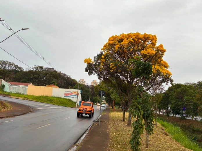 São Carlos registra chuva fraca nesta quarta-feira (26), com melhora significativa da umidade do ar. IPMet aponta alta probabilidade de novas chuvas. São Carlos registra chuva fraca nesta quarta-feira (26), com melhora significativa da umidade do ar. IPMet aponta alta probabilidade de novas chuvas.