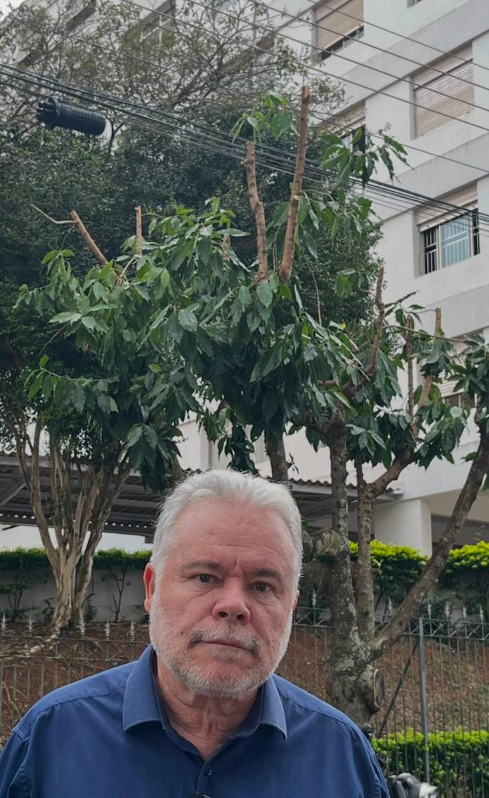 Vereador promete acionar MP contra podas de árvores feitas pela CPFL; Empresa emite nota Vereador promete acionar MP contra podas de árvores feitas pela CPFL; Empresa emite nota