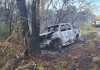 Acidente: Caminhonete bate em árvore, pega fogo e chamas atingem mata às margens da SP-215 Amarok bateu contra uma árvore e pegou fogo na tarde desta terça-feira (25), na SP-215, em Ribeirão Bonito. Chamas atingiram a mata e motorista foi socorrido.