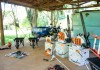Horto Municipal de São Carlos recebe novos equipamentos e reforça serviços de manutenção e doação de mudas Horto Municipal Navarro de Andrade, em São Carlos, recebe equipamentos para manutenção e manejo de mudas nativas