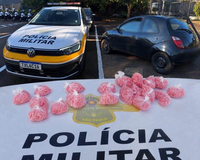 Polícia Rodoviária apreende 2 mil pinos e quase 2 kg de cocaína na SP-215, em São Carlos Polícia Rodoviária apreende 2 mil pinos e quase 2 kg de cocaína na SP-215, em São Carlos