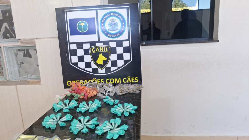 Como as drogas estavam abandonadas e o homem que fugiu não foi localizado, não houve prisão durante a ocorrência, conforme as informações divulgadas pela Guarda Municipal.