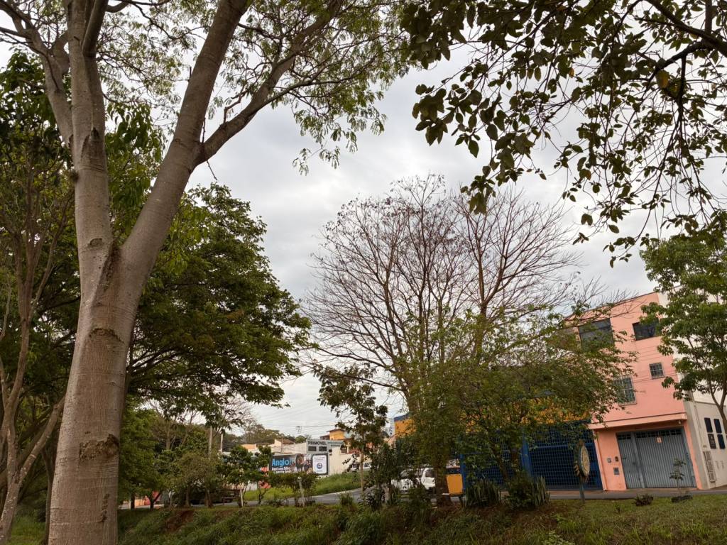 Defesa Civil alerta São Carlos para chuva de até 70 mm entre quarta e quinta-feira, com risco de temporal, granizo e rajadas de até 65 km/h.