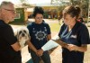 São Carlos oferece 400 vagas para castração gratuita de cães e gatos nos dias 19 e 20 de setembro. Veja os locais e como fazer a inscrição