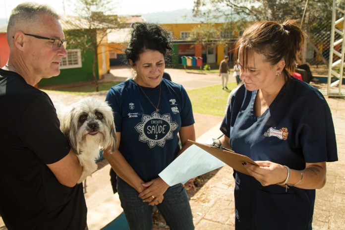 São Carlos oferece 400 vagas para castração gratuita de cães e gatos nos dias 19 e 20 de setembro. Veja os locais e como fazer a inscrição São Carlos oferece 400 vagas para castração gratuita de cães e gatos nos dias 19 e 20 de setembro. Veja os locais e como fazer a inscrição