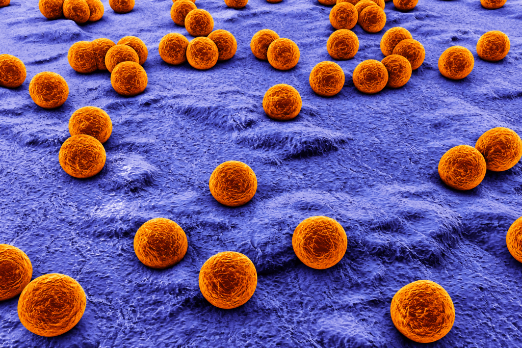 Pesquisa da USP São Carlos usa inteligência artificial para prever resistência de bactérias a antibióticos
