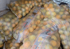 Dupla é presa com 14 sacos de laranjas furtados Dupla é presa com 14 sacos de laranjas furtados