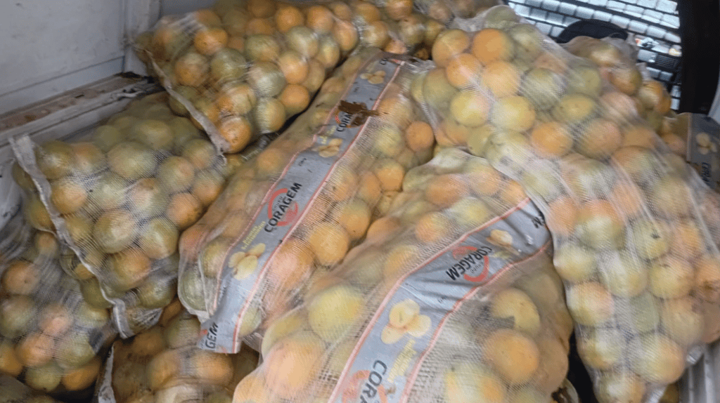 Dupla é presa com 14 sacos de laranjas furtados