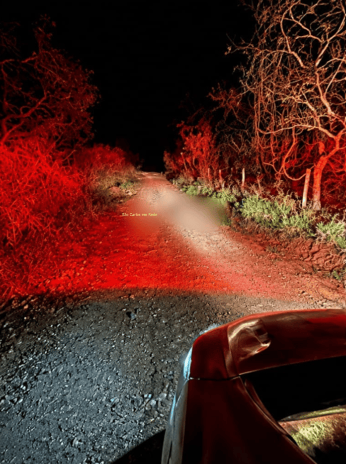 Corpo de mulher é encontrado em estrada de terra na zona rural de São Carlos Corpo de mulher é encontrado em estrada de terra na zona rural de São Carlos