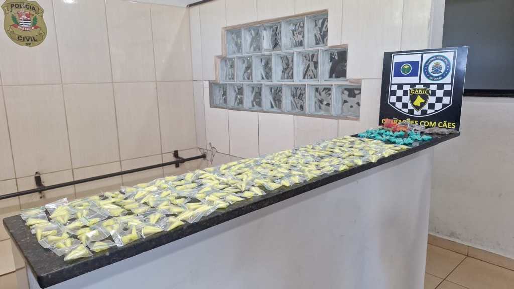 Como as drogas estavam abandonadas e o homem que fugiu não foi localizado, não houve prisão durante a ocorrência, conforme as informações divulgadas pela Guarda Municipal.
