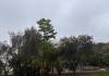 Frio tomará conta de São Carlos novamente Frio tomará conta de São Carlos novamente