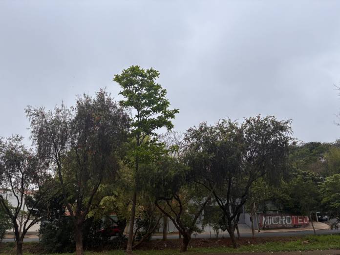 Frio tomará conta de São Carlos novamente