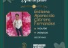 O falecimento, aos 65 anos, de Gisleine Aparecida Cabrera Fernandes