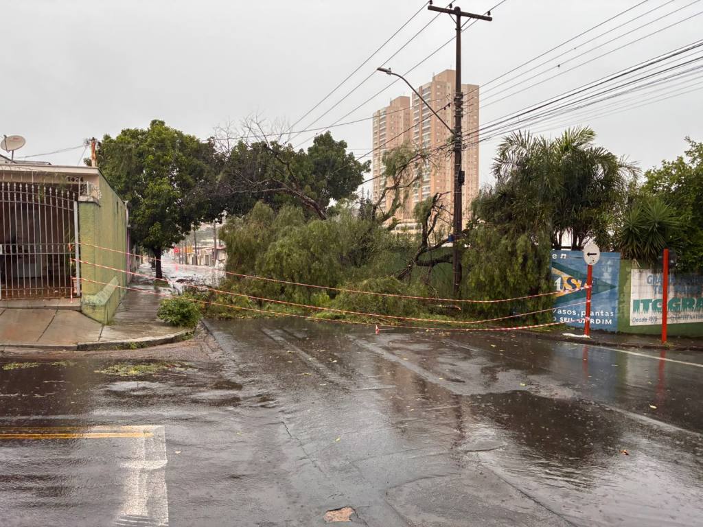 Temporal em São Carlos