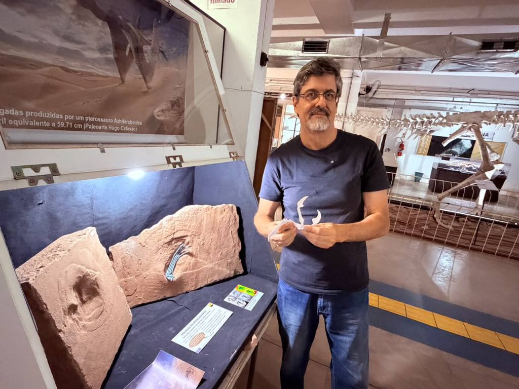 Fósseis de dinossauros e pegadas de pterossauros integram o acervo do Museu da Ciência de São Carlos.