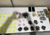 Mulher é presa com mais de 1,8 kg de drogas Força Tática da Polícia Militar apreende maconha, cocaína e crack durante operação contra o tráfico de drogas em Santa Rita do Passa Quatro