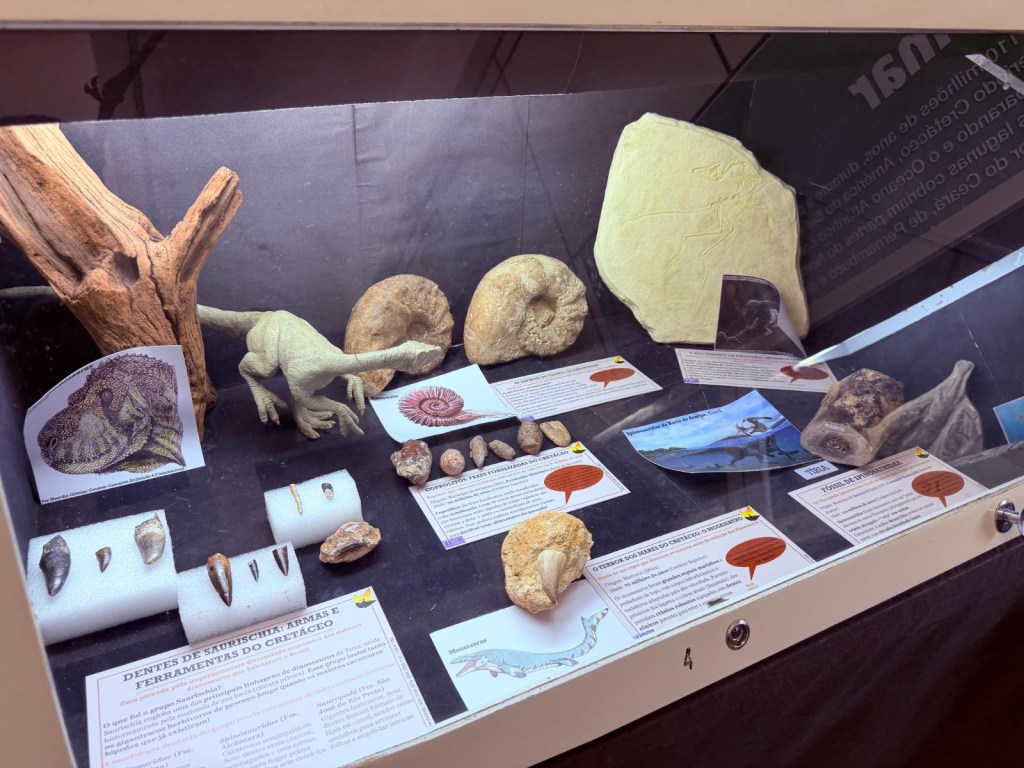 Fósseis de dinossauros e pegadas de pterossauros integram o acervo do Museu da Ciência de São Carlos.