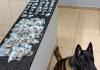 PM prende suspeito de tráfico e apreende 516 porções de drogas em São Carlos Polícia Militar apreende 516 porções de drogas durante operação contra o tráfico na Vila Isabel, em São Carlos