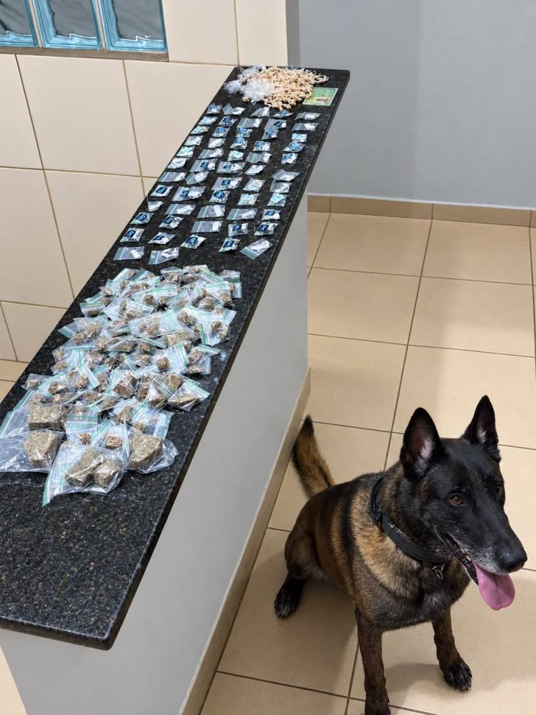 Polícia Militar apreende 516 porções de drogas durante operação contra o tráfico na Vila Isabel, em São Carlos