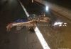 Motociclista morre atropelado após cair em buraco de rodovia