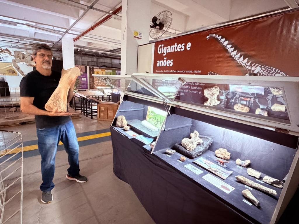 Fósseis de dinossauros e pegadas de pterossauros integram o acervo do Museu da Ciência de São Carlos.
