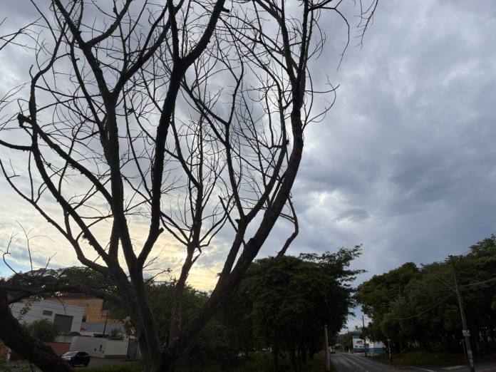 tempo sao carlos Tempo terá reviravolta e são-carlense deve se preparar